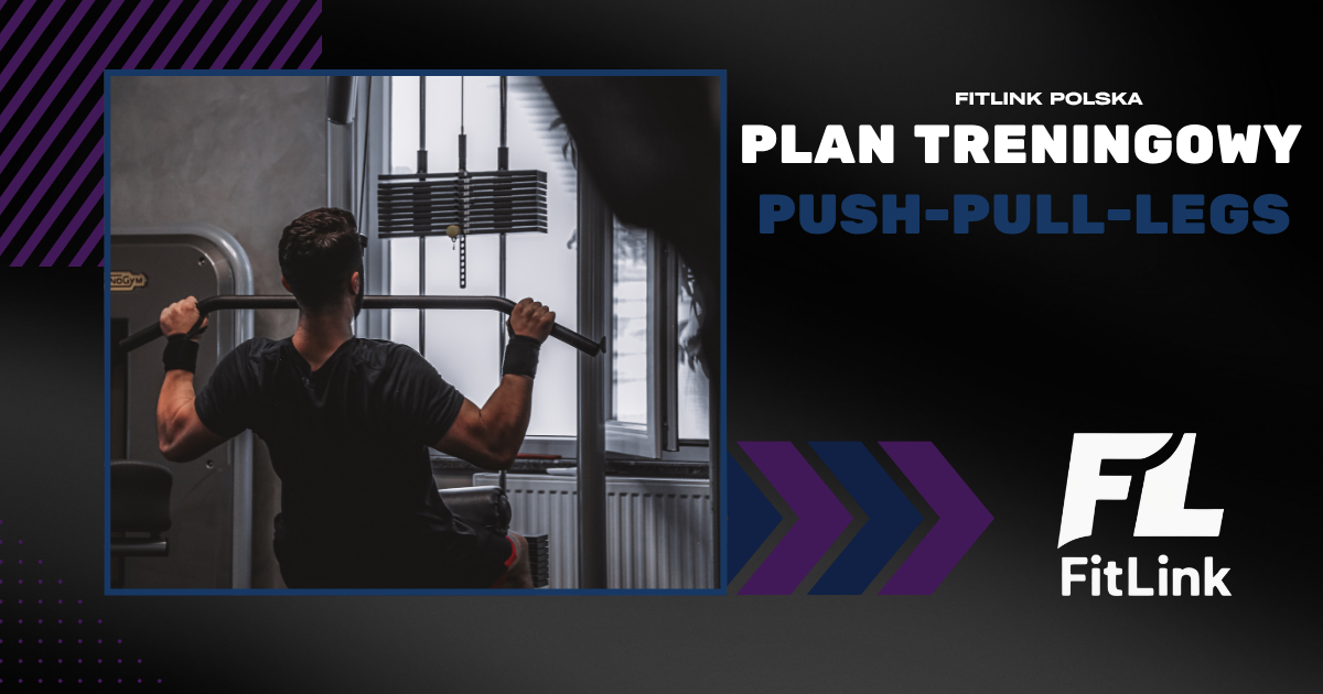 Plan treningowy Push Pull Legs